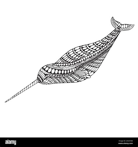 Coloring Page Narwhal Stock Vector Image And Art Alamy