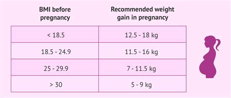 Weeks Pregnant And Overweight