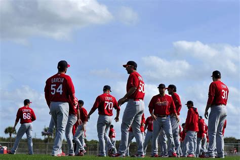 St Louis Cardinals Spring Training Roster Matrix After The First Round
