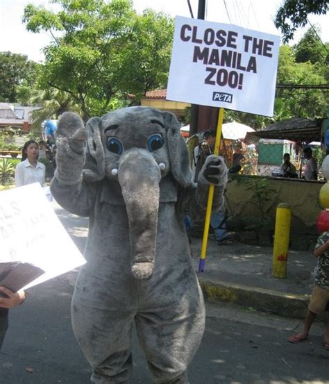 PETA's "Elephant" Leads Manila Zoo Protest | BLOG-PH.com — Philippine ...