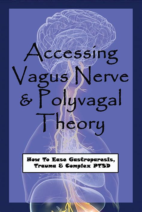 Accessing Vagus Nerve Polyvagal Theory How To Ease Gastroparesis