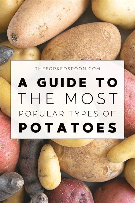 Potato Types A Guide To Popular Types Of Potatoes Types Of Potatoes Potatoes Potato Varieties