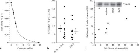 Figure 1 From Ige Dependent And Ige Independent Stimulation Of Human