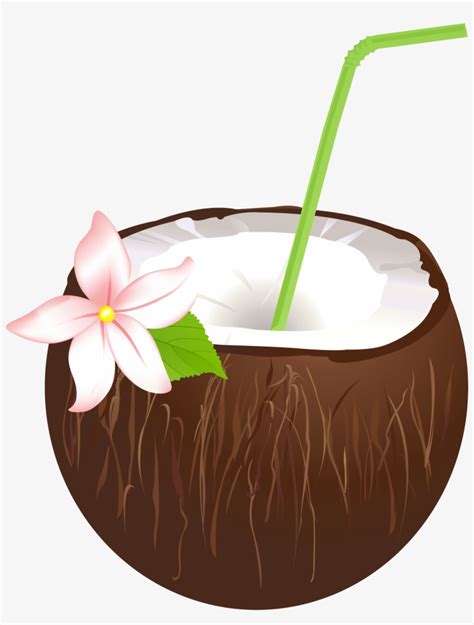 Summer Coconut Drink Png Clip Art Image Artofit The Best Porn Website