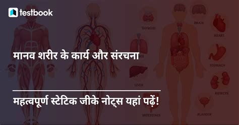 Functions Of Human Body In Hindi