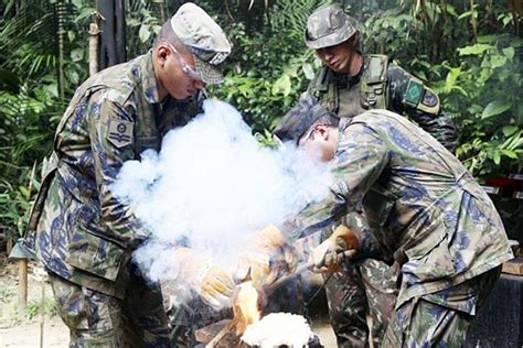 Militares Da Fab Que Atuam Na Amaz Nia Treinam Sobreviv Ncia Na Selva