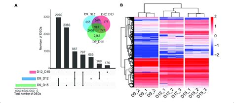 Differentially Expressed Genes Degs Of The Porcine Conceptus Across