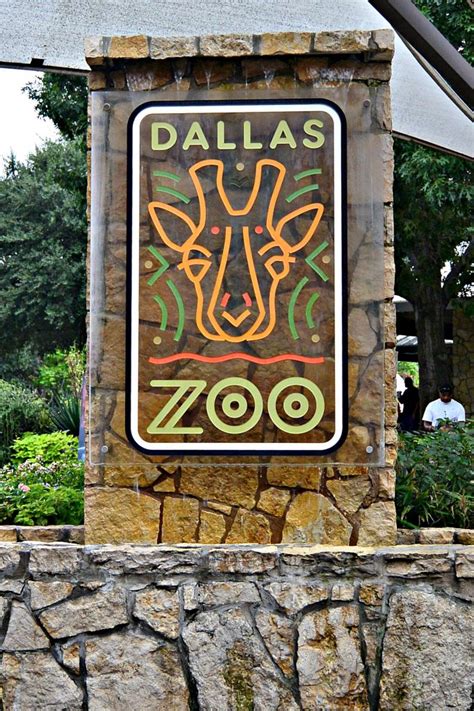 The Dallas Zoo - An Experience Not To Be Missed! - Three Different ...