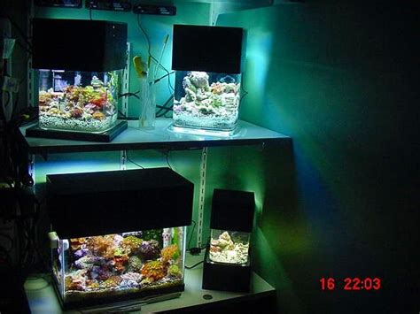 Nano Build Show Your Nano Aquarium Here Reef2reef