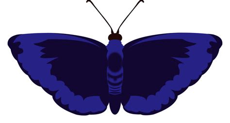 Borboleta Azul Inseto Imagens Gr Tis No Pixabay Pixabay