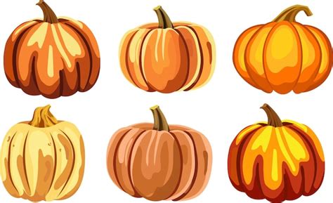 Premium Vector Set Of Pumpkins Autumn Pumpkins Isolated On White