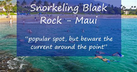 Snorkeling Black Rock On Ka Anapali Beach See Fish Safely