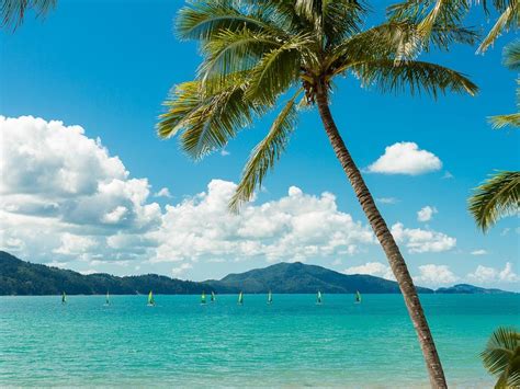 Top Things For Families To Do On Hamilton Island