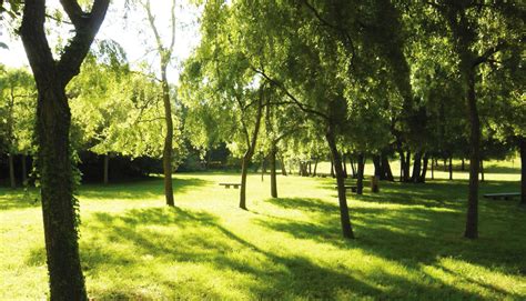 Agence Hyl Parc De La Petite Gironde Les Ponceaux Coulaines