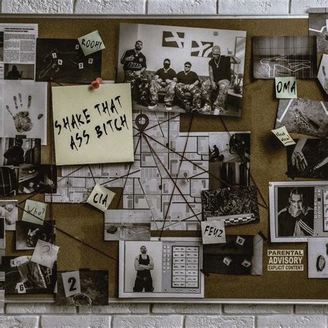 دانلود آهنگ Shake That Ass B از CIA و Feyz متن کامل پرایمی