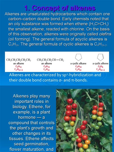 alkenes  alkene hydrocarbons