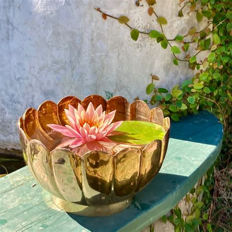 Brass Lotus Bowl Etsy