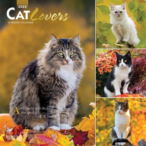 23 Best 2022 Cat Calendars - CalendarBuy.com