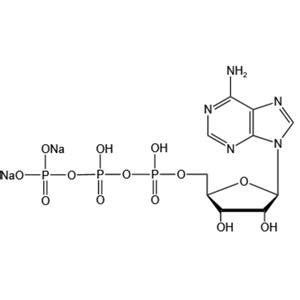 Adenosine Triphosphate Disodium Saltatp Na Hangzhou Meiya