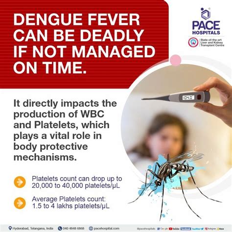 Dengue Fever Symptoms Causes Diagnosis And Treatment