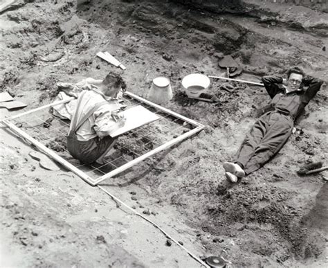 Whats New At Sutton Hoo Current Archaeology