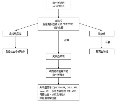 原发性血小板增多症诊断与治疗办法 中医血小板减少性紫癜网