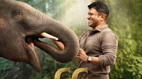 Gandhada Gudi Review Puneeth Rajkumars Journey Into The Wild Is