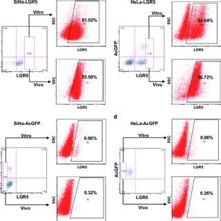 Elevated Lgr Expression Protects Cervical Cancer Cells To Resist