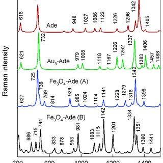 Optimized Structures Of N H Adenine Tautomer Au Adenine Complex And