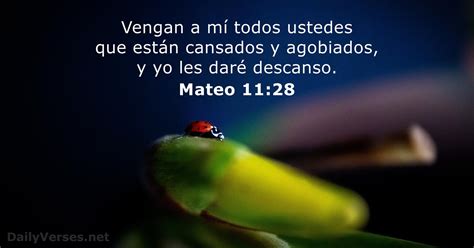 Mateo 11 28 Versículo de la Biblia DailyVerses net