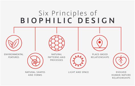 6 Principles Of Biophilic Design The Constructor Conceptual Design