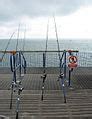 Category:Fishing rods — Wikimedia Commons