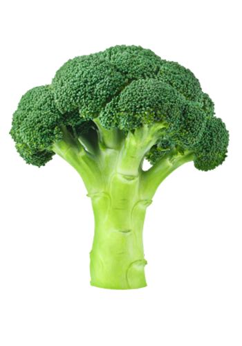 Broccoli F1 Green Giant Buy Online Vegetable Flower Seeds Garden Tools