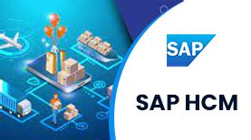 SAP SCM TRAINING IN PUNE ONLINE Radical Technologies Best IT