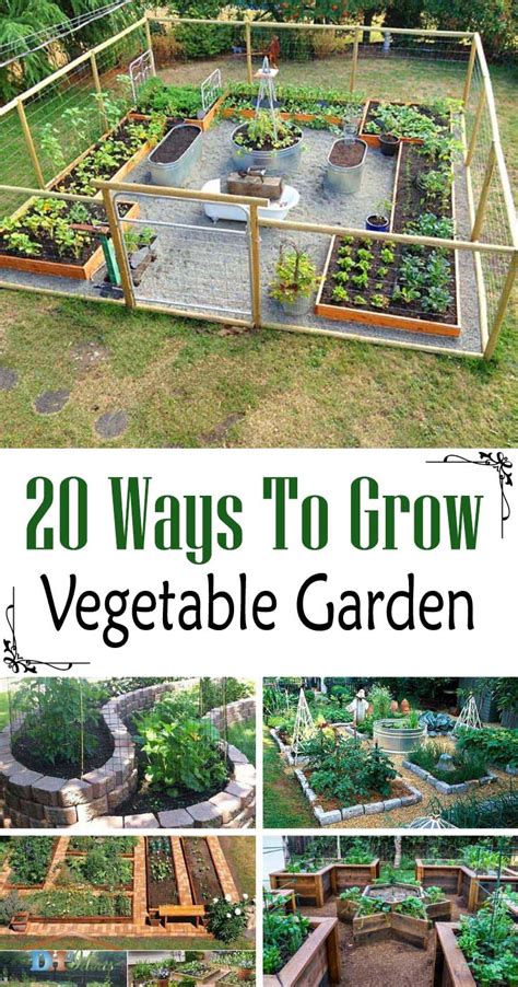 20 Ways To Grow Your Perfect Vegetable Garden