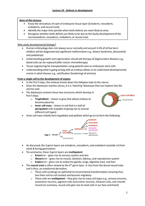 L19 Notes Why Study Developmental Biology Human Embryology Does