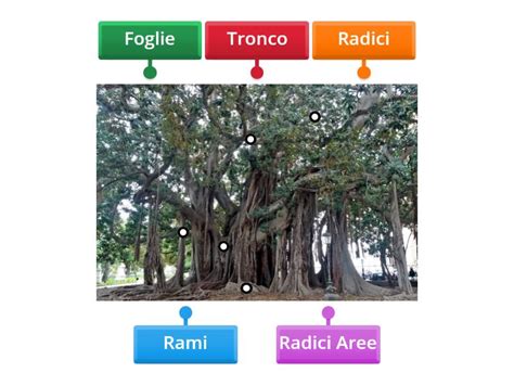 Nomina Le Parti Della Foto Labelled Diagram