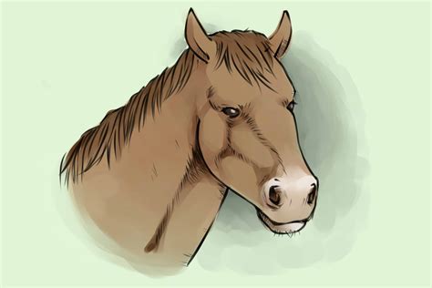 4 Ways to Draw a Horse - wikiHow