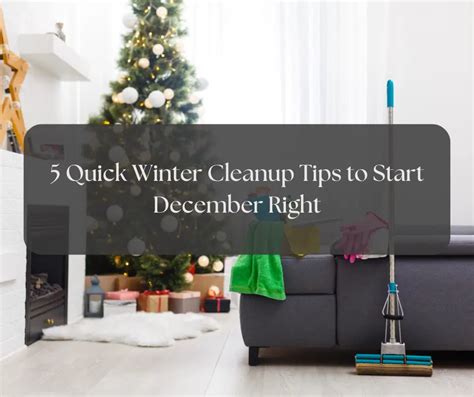 5 Quick Winter Cleanup Tips To Start December Right Bargain Dumpster