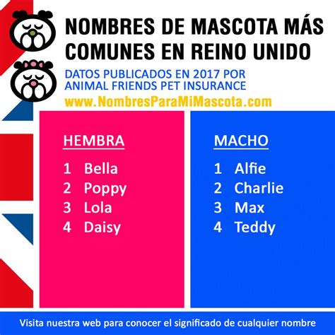 Nombres De Mascotas M S Comunes En Reino Unido