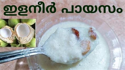 ഇളനീർ പായസം Tender Coconut Kheer Youtube