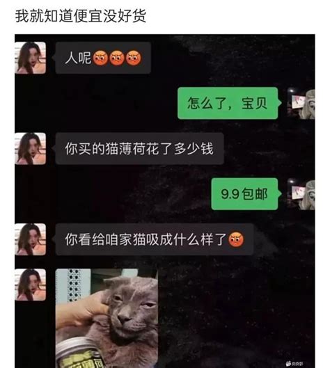 这只猫猫吸很凶馁～🤣🤣🤣🤣表情太好笑了🤭😆😆😆