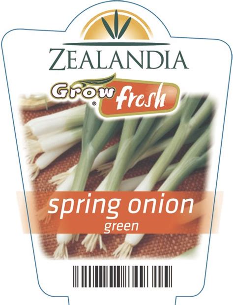 Spring Onion Green | Zealandia Horticulture
