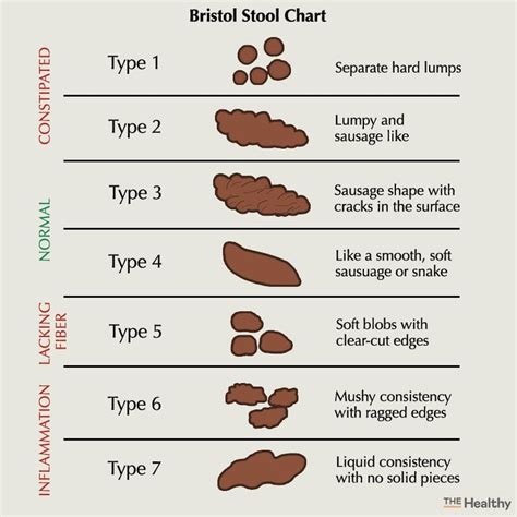 Types Of Poop What Doctors Need You To Know The Healthy