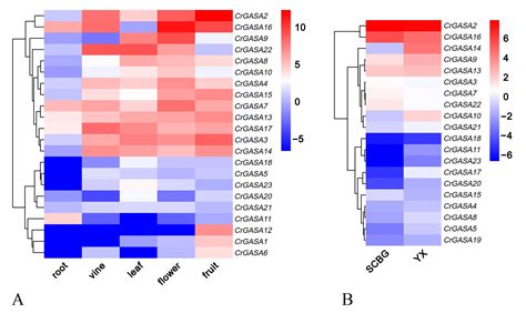 Genes Free Full Text Genome Wide Identification And Functional Analysis Of The Gasa Gene