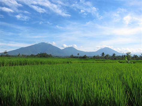 Bali Silent Retreat - Meditation, Prayer and Restful – in Silence