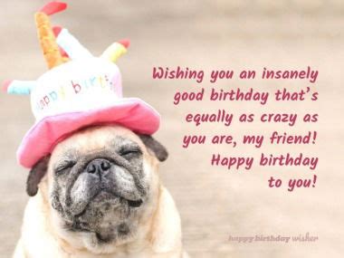 Crazy Funny Happy Birthday Wishes - Printable Birthday Cards