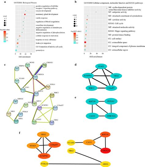 Go And Kegg Enrichment Analysis Ppi Network Construction Module Download Scientific Diagram