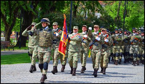 Opriti Va Imbecililor Constitutia Romaniei Interzice Stramutarea Sau