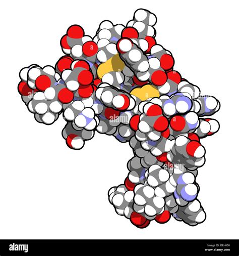 Human Epidermal Growth Factor Hegf Growth Factor That Binds To The